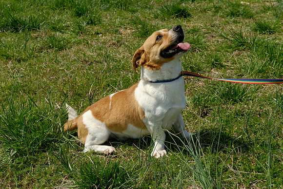 2011-03-21--R122-E