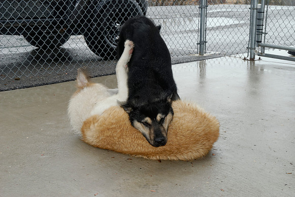 2011-01-13-026