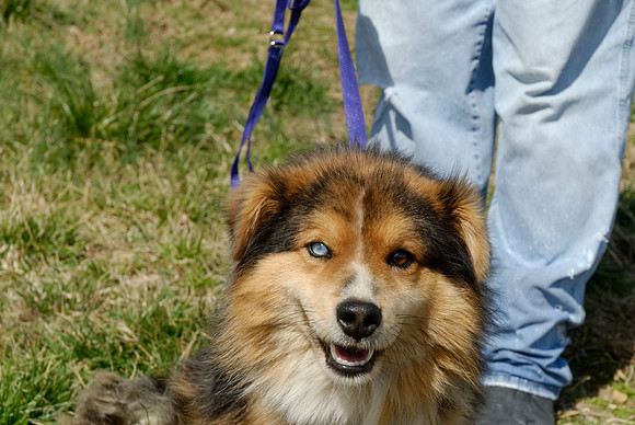 2011-03-22--R220-K