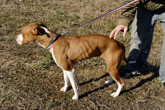 2011-02-08-R69-B