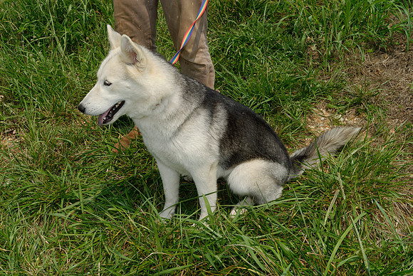 2011-07-04--R258-A