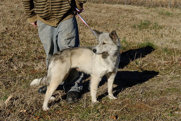 2011-02-08-R84-H