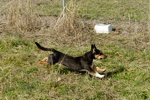 2011-02-02-0182