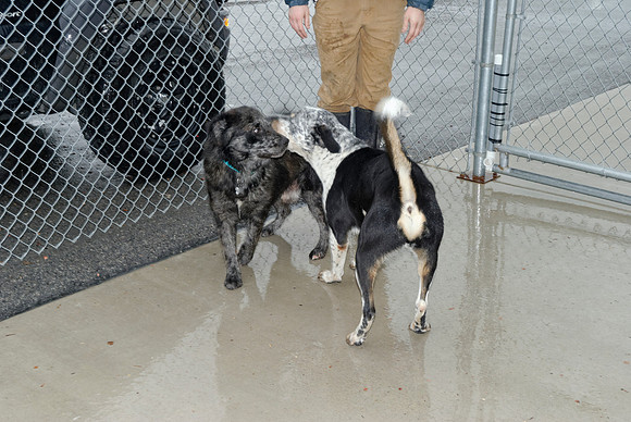 2011-01-13-043