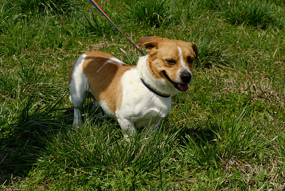 2011-03-21--R122-A