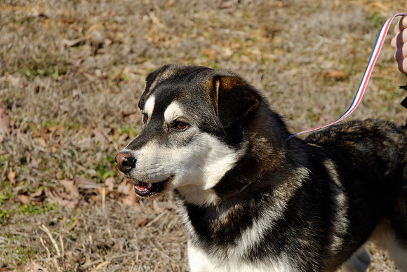 2011-02-08-B16-B