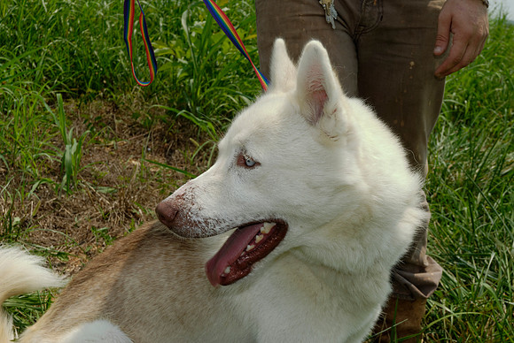 2011-07-04--R257-J