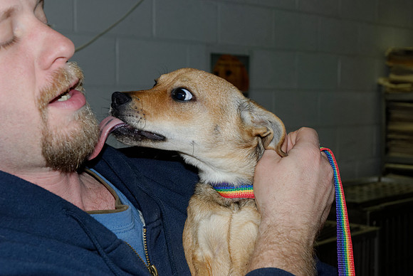 2011-01-12-0084