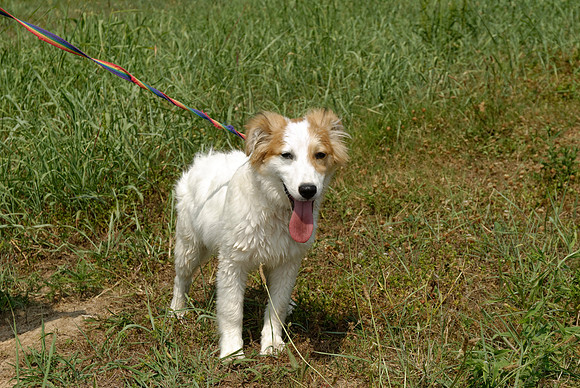 2011-06-10-R21-F