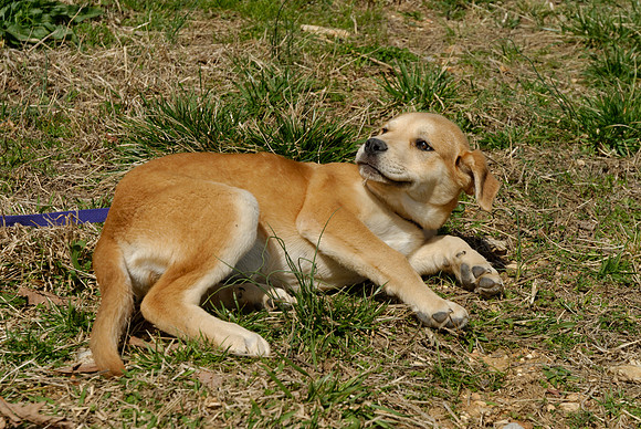 2011-03-22--R211-D