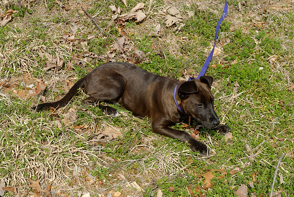 2011-03-22--R201-F