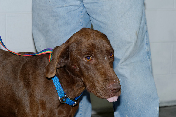 2011-01-12-0036