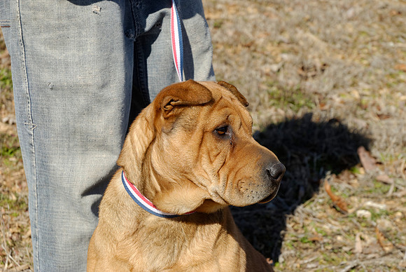 2011-02-08-B37-E