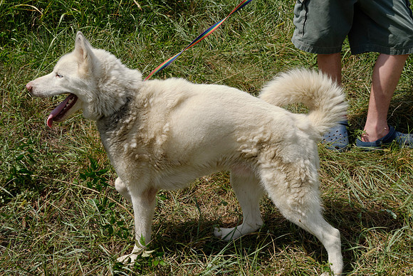 2011-07-29-R231-B