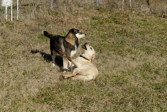 2011-02-08-B16-A