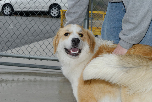2011-01-13-004