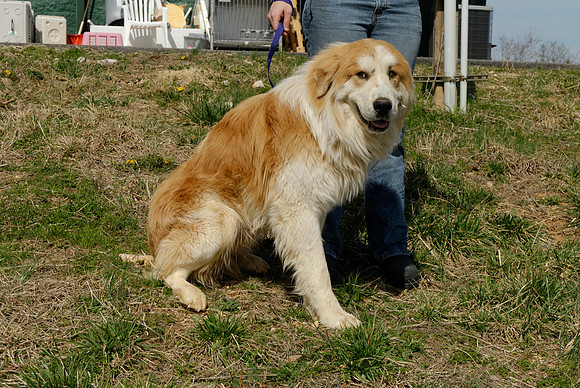 2011-03-22--R1-A