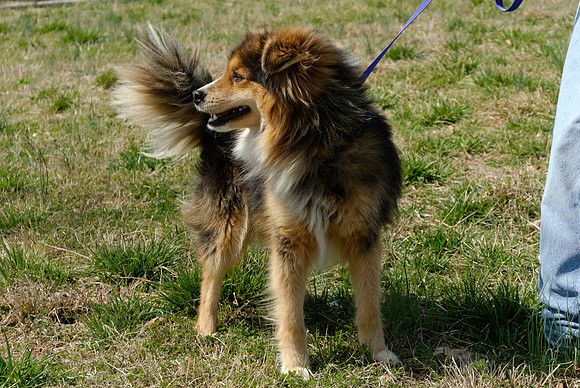 2011-03-22--R220-B