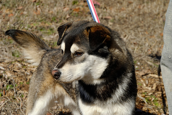 2011-02-08-B16-F