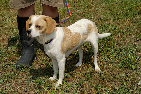 2011-06-10-B37-I