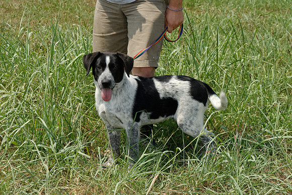 2011-06-10-R30-B