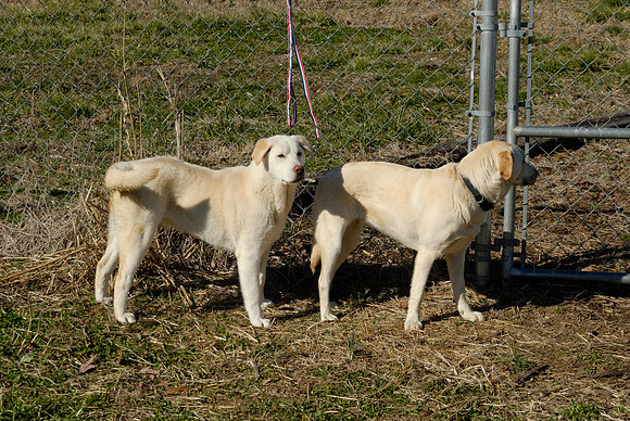 2011-02-08-R28-R
