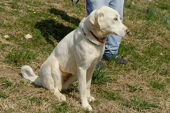 2011-03-22--R3-A