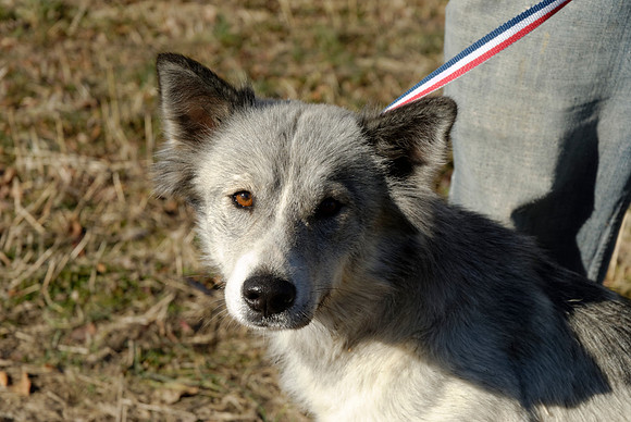 2011-02-08-R84-I