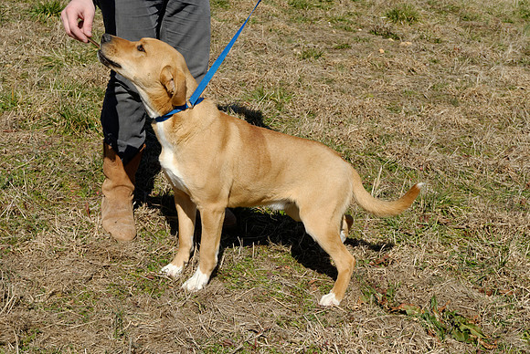 2011-02-08-R173-D