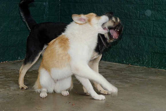 2011-01-13-009