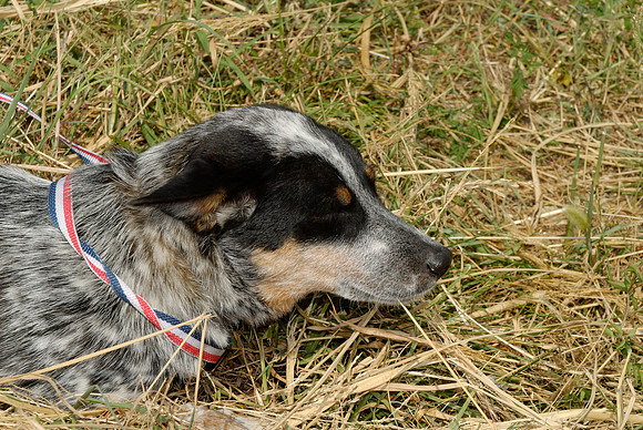 2011-08-30-R 180-C