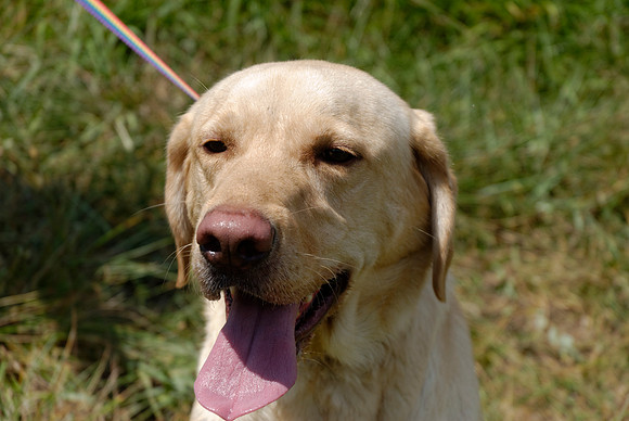 2011-07-29-R275-B