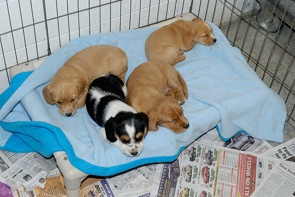 2011-01-31-0070