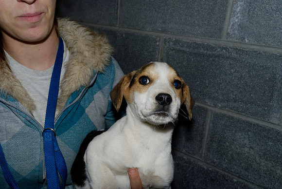 2011-01-25-R150+154+161-F