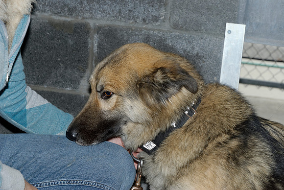 2010-12-20-0107