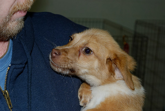 2011-01-12-0070