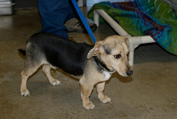 2011-01-31-0017