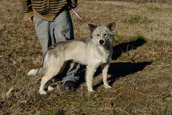 2011-02-08-R84-G