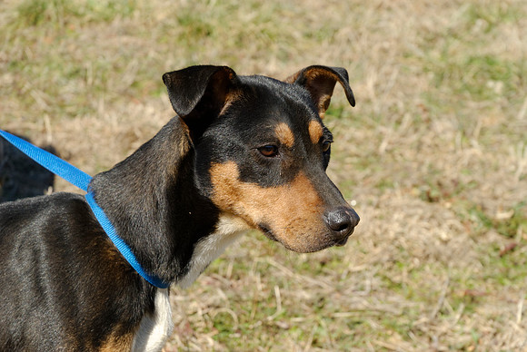 2011-02-08-R45-B
