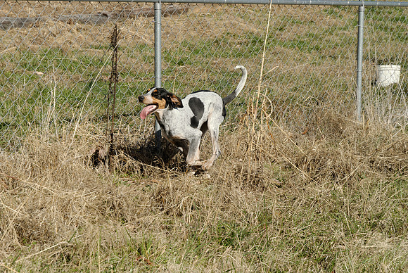2010-12-09-0060