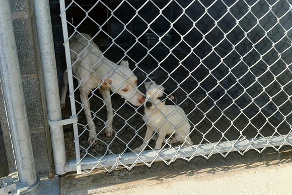 2011-08-10--B39-E