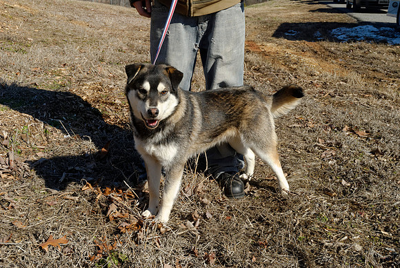 2011-02-08-B16-K
