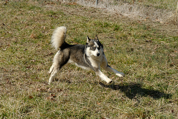 2011-02-02-0146