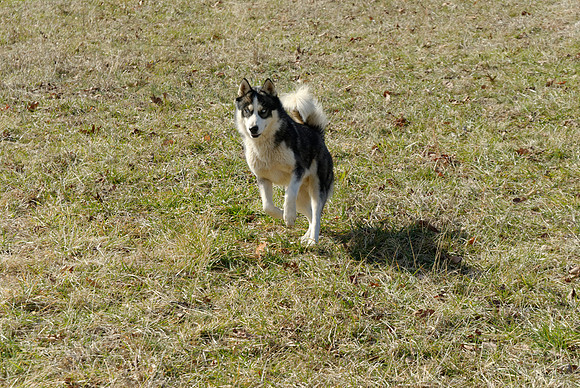 2011-02-02-0158