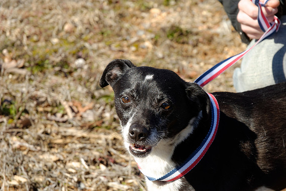 2011-02-08-B31-L