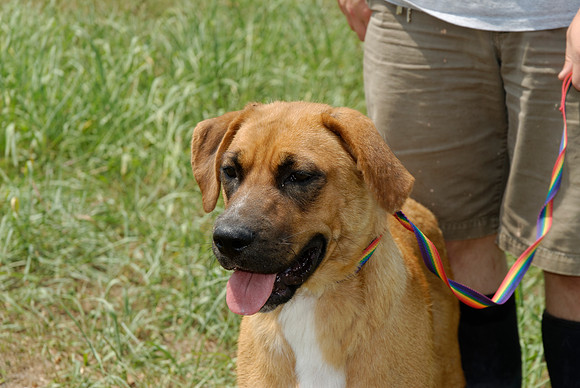 2011-06-10-R11-G