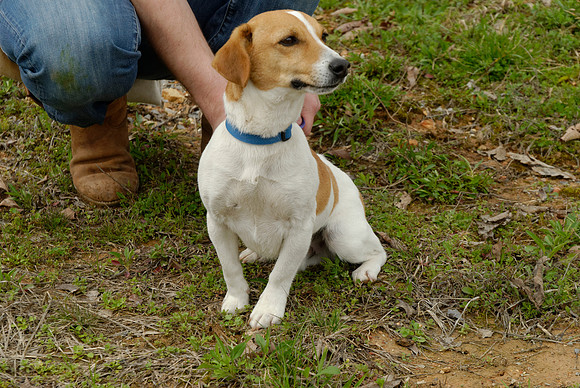 2011-03-22-B30-C