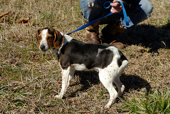2011-02-08-B145-E