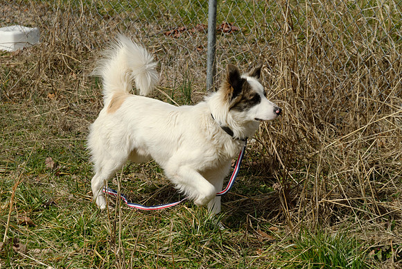 2011-02-02-0019
