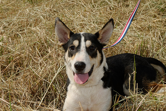 2011-08-30-R 152-N